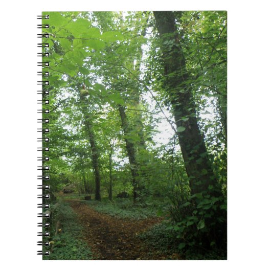 Pad door het groene bos notitieboek (Voorkant)