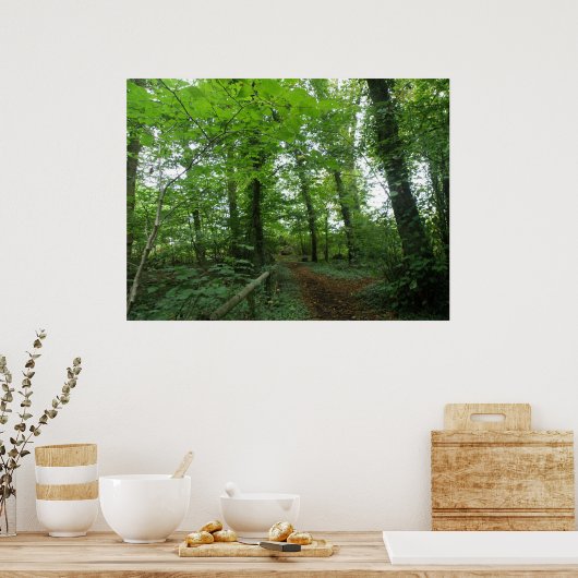 Pad door het Poster Groen bos (Keuken)