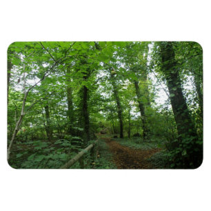 Pad door het Premium-magneet van het Groene Bos Magneet