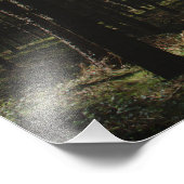 Pad door kannock Chase Foto Afdruk (Hoek)