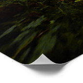 Pad in Bossen afdrukken Poster (Hoek)