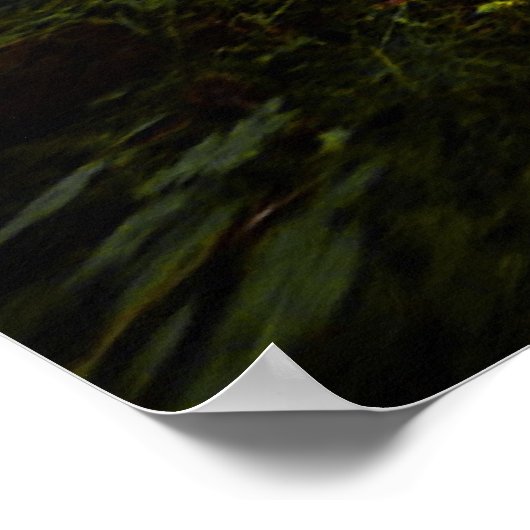 Pad in Bossen afdrukken Poster (Hoek)