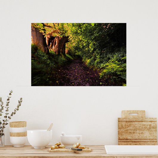 Pad in Bossen afdrukken Poster (Keuken)