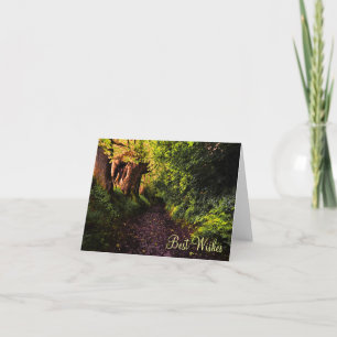 Pad in de Bossen Best Wishes Kaart