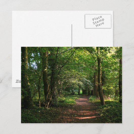 Pad in de Bossen Briefkaart (Voorkant / Achterkant)