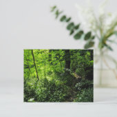 Pad in de Bossen Briefkaart (Staand voorkant)