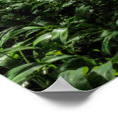 Pad in de Bossen Poster (Hoek)