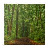 Pad in de Bossen Tegeltje (Voorkant)