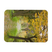 Pad in de herfst magneet (Horizontaal)