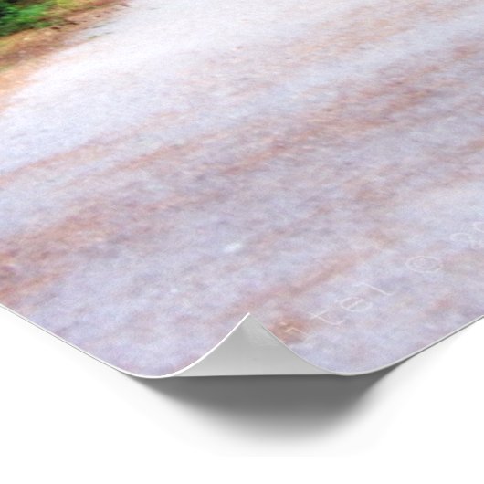 Pad in de schaduw poster (Hoek)