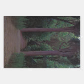 Pad in een park (door Santiago Rusiñol) Inpakpapier Vel (Voorkant 2)