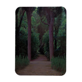 Pad in een park (door Santiago Rusiñol) Magneet