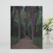 Pad in een park kaart (Staand voorkant)