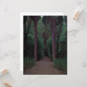 Pad in een park kaart (Voorkant / Achterkant in situ)