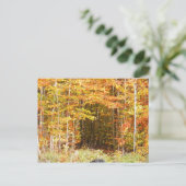 Pad in het Bos Adirondacks-gebergte Briefkaart (Staand voorkant)