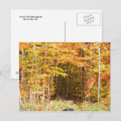 Pad in het Bos Adirondacks-gebergte Briefkaart (Voorkant / Achterkant)