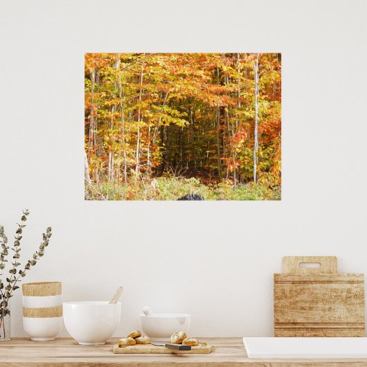 Pad in het Bos Adirondacks-gebergte Poster (Keuken)