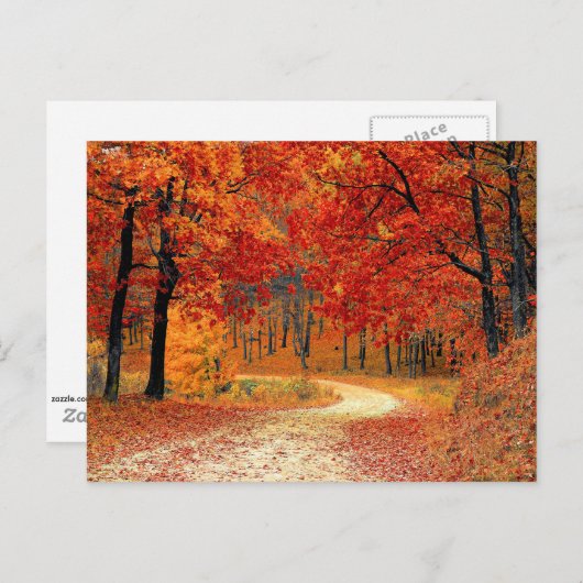 Pad in het bos, herfst briefkaart (Voorkant / Achterkant)