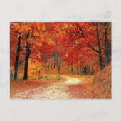 Pad in het bos, herfst briefkaart (Voorkant)