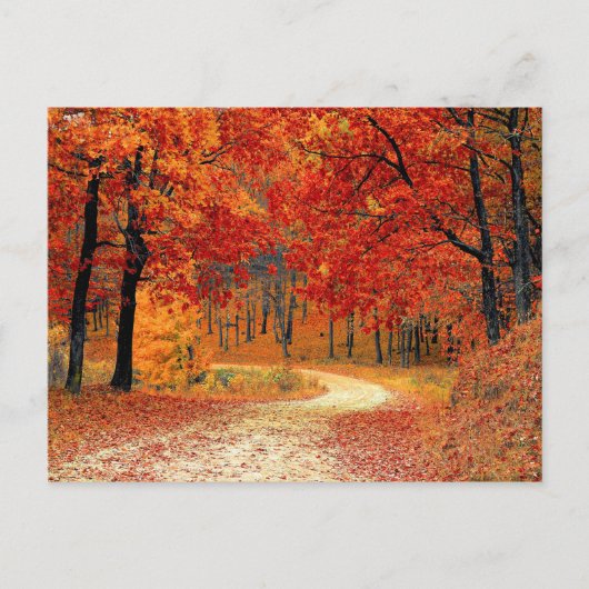 Pad in het bos, herfst briefkaart (Voorkant)