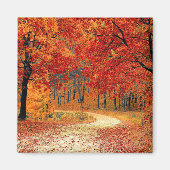 Pad in het bos, herfst magneet (Voorkant)