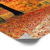 Pad in het bos, herfst poster (Hoek)