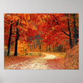 Pad in het bos, herfst poster (Voorkant)