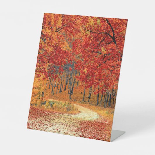 Pad in het bos, herfst reclamebord met voetstuk (Voorkant)