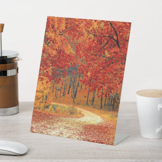 Pad in het bos, herfst reclamebord met voetstuk (Insitu)