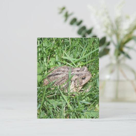 Pad in het Gras Briefkaart (Staand voorkant)