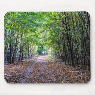 Pad in het herfst bos, Saint Germain bos Muismat