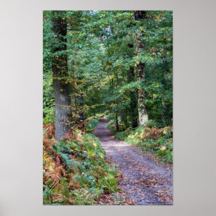 Pad in het herfstbos, Saint Germain-bos Poster