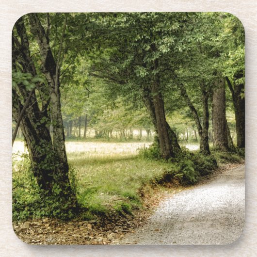 Pad in het land bier onderzetter (Voorkant)