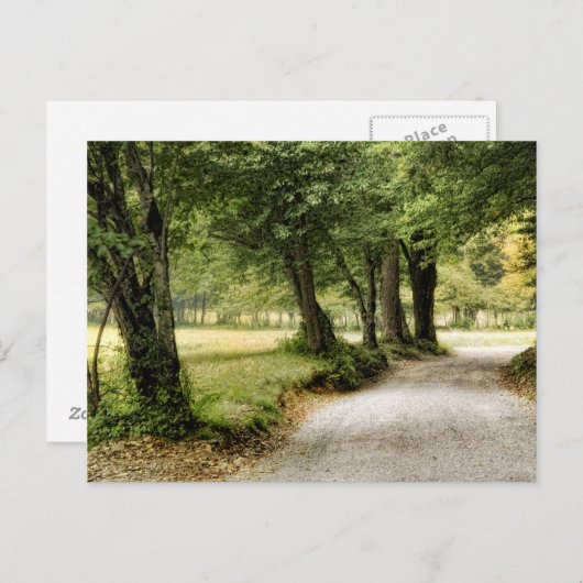 Pad in het land briefkaart (Voorkant / Achterkant)