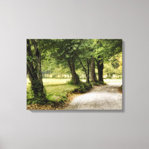 Pad in het land canvas afdruk