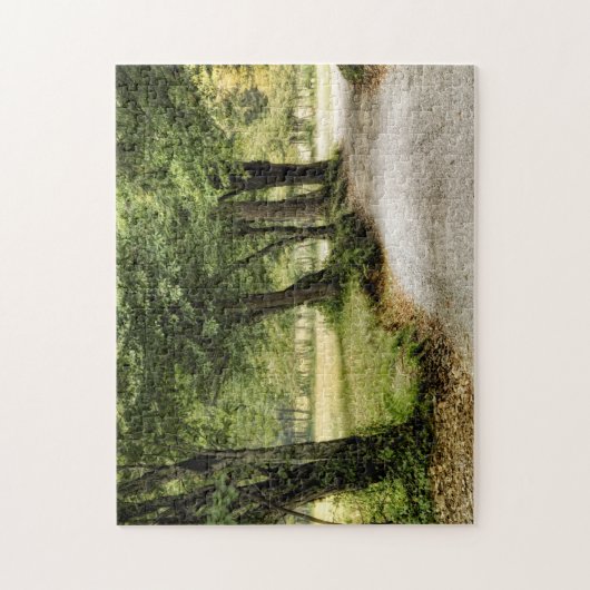 Pad in het land legpuzzel (Verticaal)