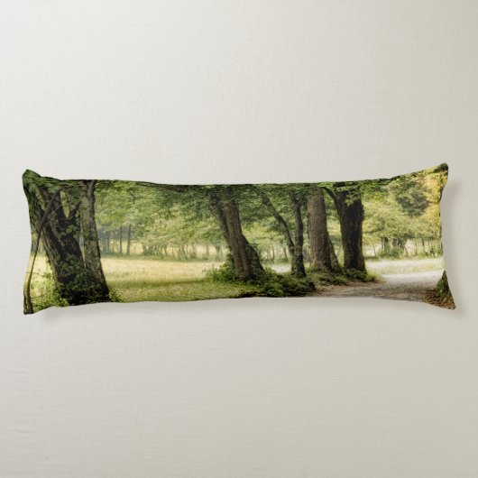 Pad in het land lichaamskussen (Achterkant)