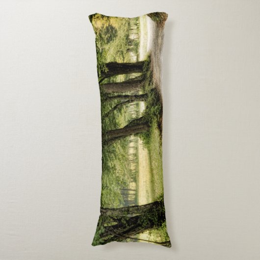 Pad in het land lichaamskussen (Voorkant Verticaal)