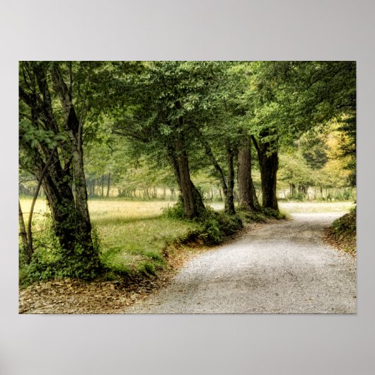 Pad in het land poster (Voorkant)