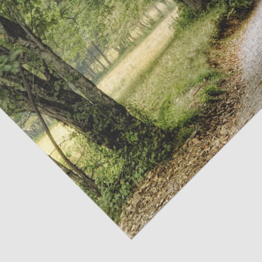 Pad in het land tissuepapier (Detail)