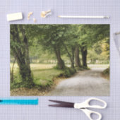 Pad in het land tissuepapier (Craft)