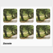 Pad in het land vierkante sticker (Vel)