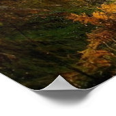 Pad in het Poster van de wand van de Natuur van de (Hoek)