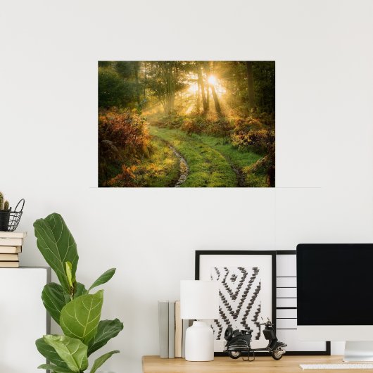 Pad in het Poster van de wand van de Natuur van de (Thuiskantoor)