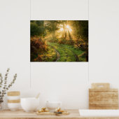 Pad in het Poster van de wand van de Natuur van de (Keuken)