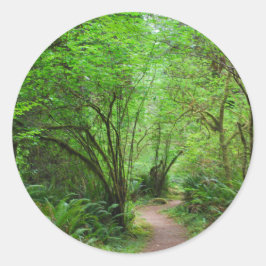Pad in het Reuzenbomenbos Ronde Sticker