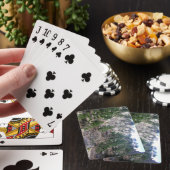 Pad in Jefferson County, Colorado Pokerkaarten (Insitu)