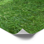 Pad in The Bossen, Bute Park, Cardiff Poster (Hoek)