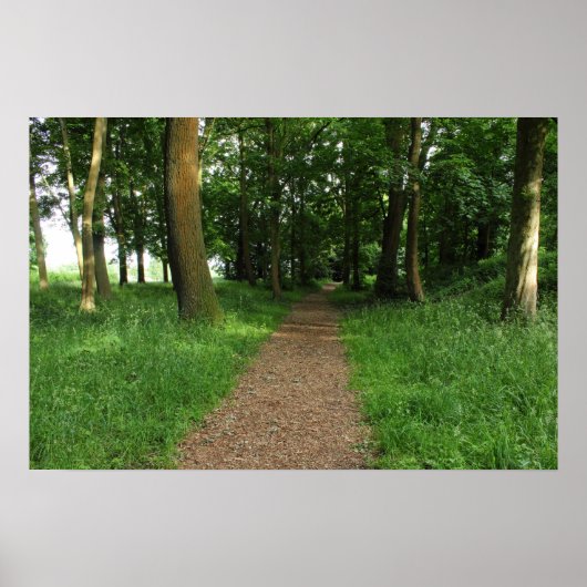 Pad in The Bossen, Bute Park, Cardiff Poster (Voorkant)