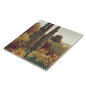 Pad in the Buttes Chaumont Park, Parijs, 1908 (aar Tegeltje (Zijkant)